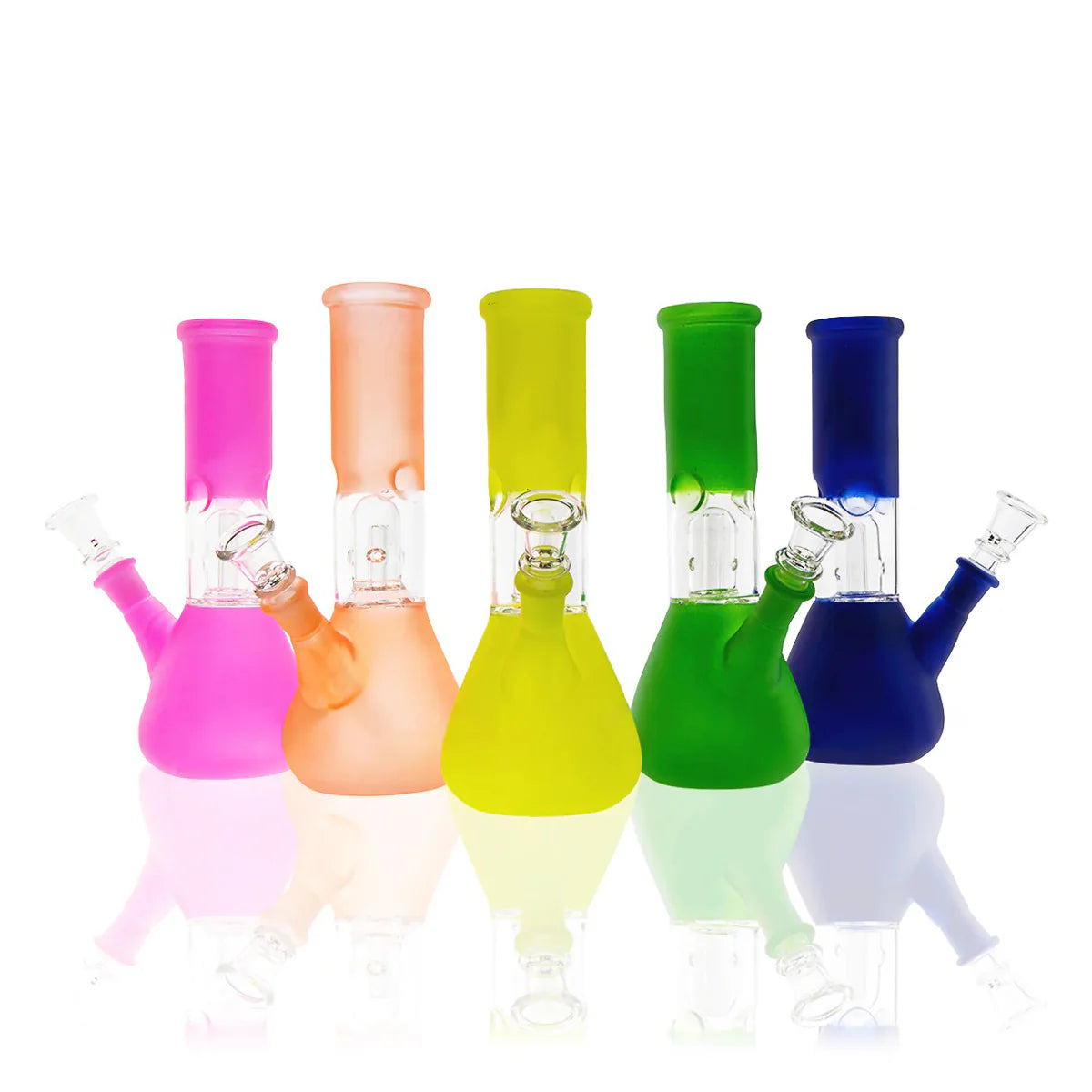 Bio Water Pipe Dome Percolator Beaker 8”